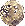 m o o n